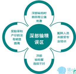 豬場育種新突破 母豬深度受精技術的創新應用與推廣策略